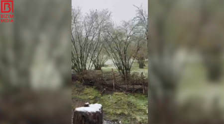 Zaqatalaya qar YAĞIR &ndash; VİDEO