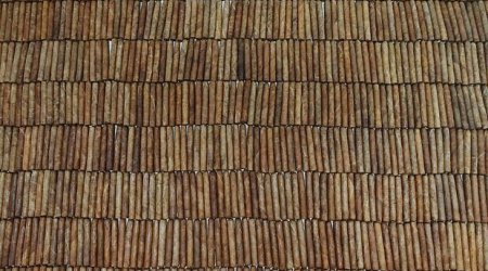 Rusiya Türkiyənin bu məhsulundan imtina etdi