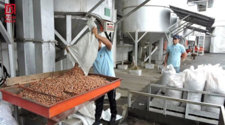 Zaqatalada fındıq sexində yanğın - 2 tona yaxın ləpə yararsız hala düşdü