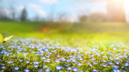 Sabah 22 dərəcə isti olacaq &ndash; PROQNOZ