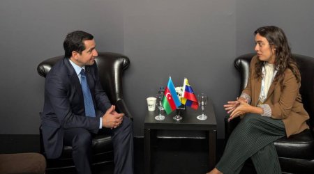 Hikmət Hacıyev Andrea Corao Faria ilə görüşdü &ndash; FOTO