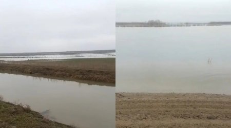 Kür çayı daşdı, əkin sahələrini su basdı - FOTO