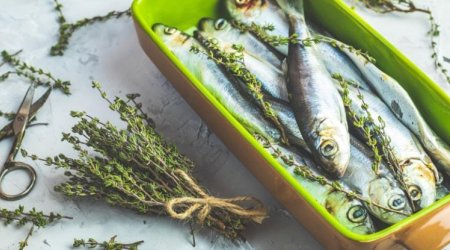 Dəri, ürək və ümumi sağlamlıq üçün hansı balıq faydalıdır?