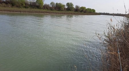 Kürdə suyun səviyyəsi KƏSKİN ARTDI &ndash; Daşqın təhlükəsi...