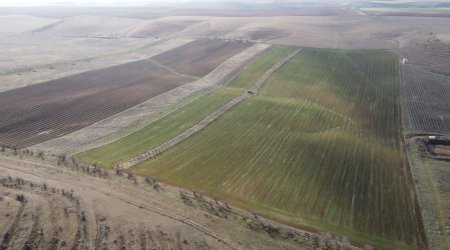 Rusiyada dövlət böyüklüyündə torpaq sahələri SATILIR