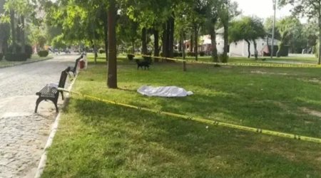Bakıda parkda meyiti tapılan şəxsin kimliyi BİLİNDİ