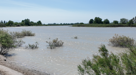 "Dəli Kür" sakitləşməyə başlayır: Zərdabda son vəziyyət &ndash; VİDEO