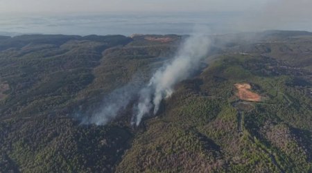 Türkiyədə meşə yanğını: 3 helikopter havaya qaldırıldı - VİDEO