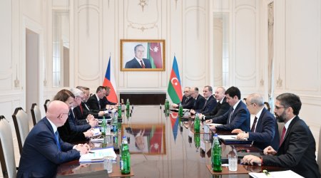 İlham Əliyevin Çexiyanın Baş naziri ilə geniş tərkibdə görüşü keçirilib &ndash; FOTO/VİDEO