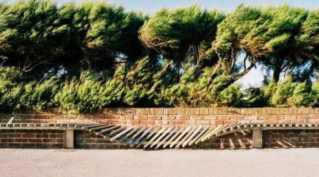 &ldquo;Hündür ağacların altında dayanmayın!&rdquo; - Güclü küləklə bağlı XƏBƏRDARLIQ