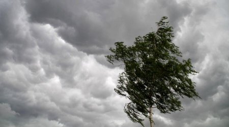 Küləyin sürəti artıb - FAKTİKİ HAVA