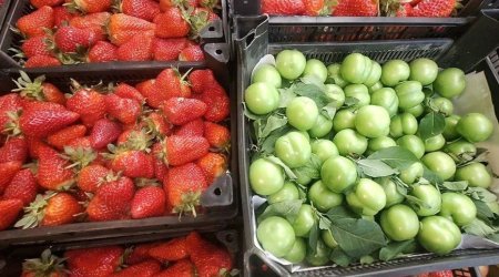 Fermerlər zərər içində: Çiyələk və alça bu il baha ola bilər - VİDEO