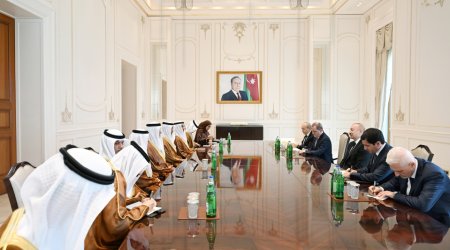 Prezident Birləşmiş Ərəb Əmirliklərinin nümayəndə heyətini qəbul etdi &ndash; FOTO