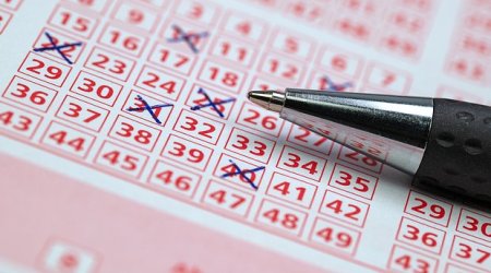 Çilingər hörümçək sayəsində 56 milyon uddu