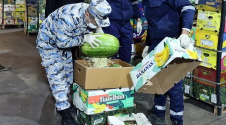 "Qarpız" yükündə narkotik vasitə TAPILDI &ndash; FOTO