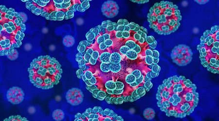 Hantavirus otaq temperaturunda maksimum nə qədər "sağ qalır?" - Həkimdən AÇIQLAMA