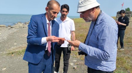 Xəzərin Lənkəran sahillərində Orta əsrlərə aid yaşayış məskəni TAPILDI &ndash; FOTO