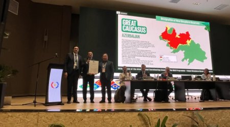 Azərbaycan ərazisi UNESCO-nun qlobal biosfer qoruğu statusunu QAZANDI - FOTO