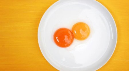 Niyə bəzi yumurta sarıları sarı, digərləri isə narıncı rəngdədir?