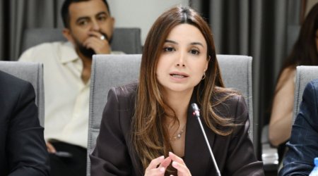 Valideynlər uşaqların sosial şəbəkədə keçirdiyi vaxtı da idarə edə biləcəklər &ndash; RƏSMİ