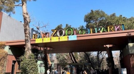 Bu qurum niyə 350 min manata siçan-siçovul alır?