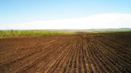 Torpaq sahələri ilə bağlı YENİLİK &ndash; Qanun dəyişir