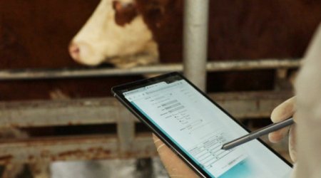 Azərbaycanda ilk dəfə heyvanların elektron izləmə sistemi yaradılacaq