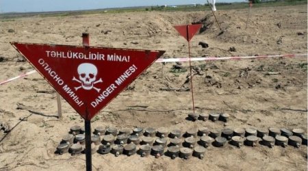 Ötən həftə nə qədər ərazi minalardan təmizlənib?