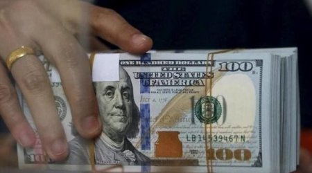 Xanım sahibkar ölkədən 200 min dollar çıxartdı