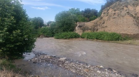 Tovuza qonaq gəldi - Çayda batdı - FOTO