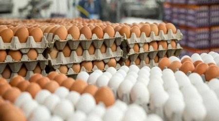 Azərbaycanda yumurtanın qiyməti 1 qəpiyə düşdü: Səbəb nədir?
