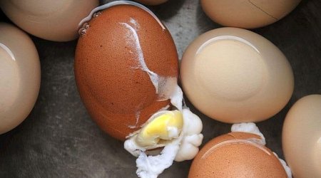 Yumurtanın bişirilərkən çatlamasının qarşısını alan 5 sadə üsul