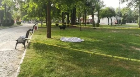 Bakıda Milli Parkın ərazisində meyit tapıldı