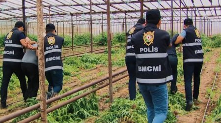 Beş ayda 111,7 milyon manatlıq narkotik dövriyyədən çıxarılıb