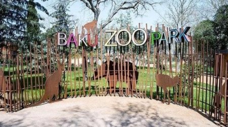 Bakı Zooparkı yeni quruma birləşdirilir