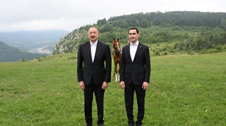 Türkmənistan Prezidentinə Qarabağ atı hədiyyə edildi - FOTO