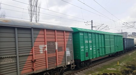 Azərbaycandan tranzit keçməklə Ermənistana buğda göndərildi