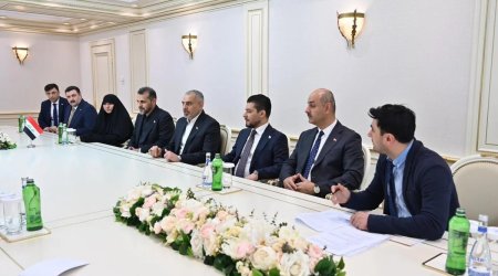 Sahibə Qafarova İraq rəsmisi ilə görüşdü - FOTO