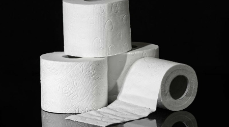 Tualet kağızı ilə ağcaqanadları evdən uzaqlaşdırın