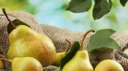 Daha bol məhsul üçün yayda budanmalı olan 7 meyvə ağacı