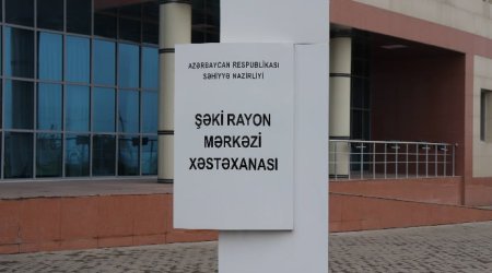 Şəkidə parkdan keçən kişini it dişlədi