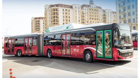 Bakıda daha iki marşrut xəttinin avtobusları YENİLƏNDİ