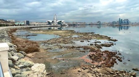 Xəzər dənizi sürətlə kiçilir: Azərbaycan rəsmisi narahatedici rəqəmləri açıqladı