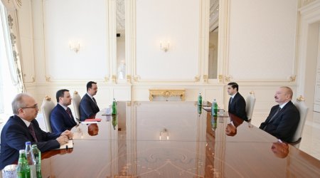 İlham Əliyev türkiyəli naziri qəbul etdi &ndash; FOTO