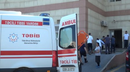 Şəkidə itin 5 nəfəri dişləməsinə İcra Hakimiyyətinin REAKSİYASI - FOTO