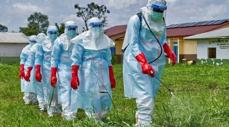 Konqoda Ebola qızdırmasından ölənlərin sayı artır