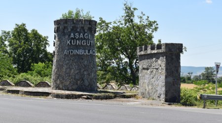Şəkidə yeni Dövlət Proqramının hədəflərinə uyğun olaraq heyvandarlığın inkişafı diqqət mərkəzindədir - FOTO