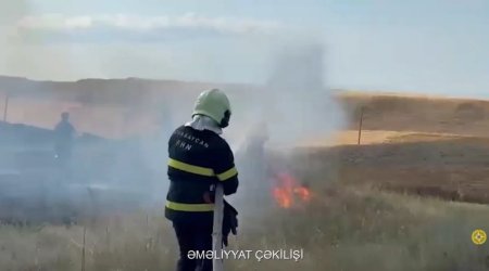 Qazaxın Aslanlı kəndində taxıl sahəsində yanğın oldu - VİDEO