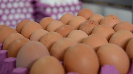 Almaniyada "yumurta böhranı": Marketlər satışa limit qoydu