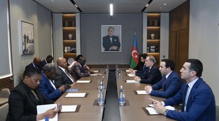 Zimbabve "ASAN xidmət" modelini tətbiq edəcək - FOTO